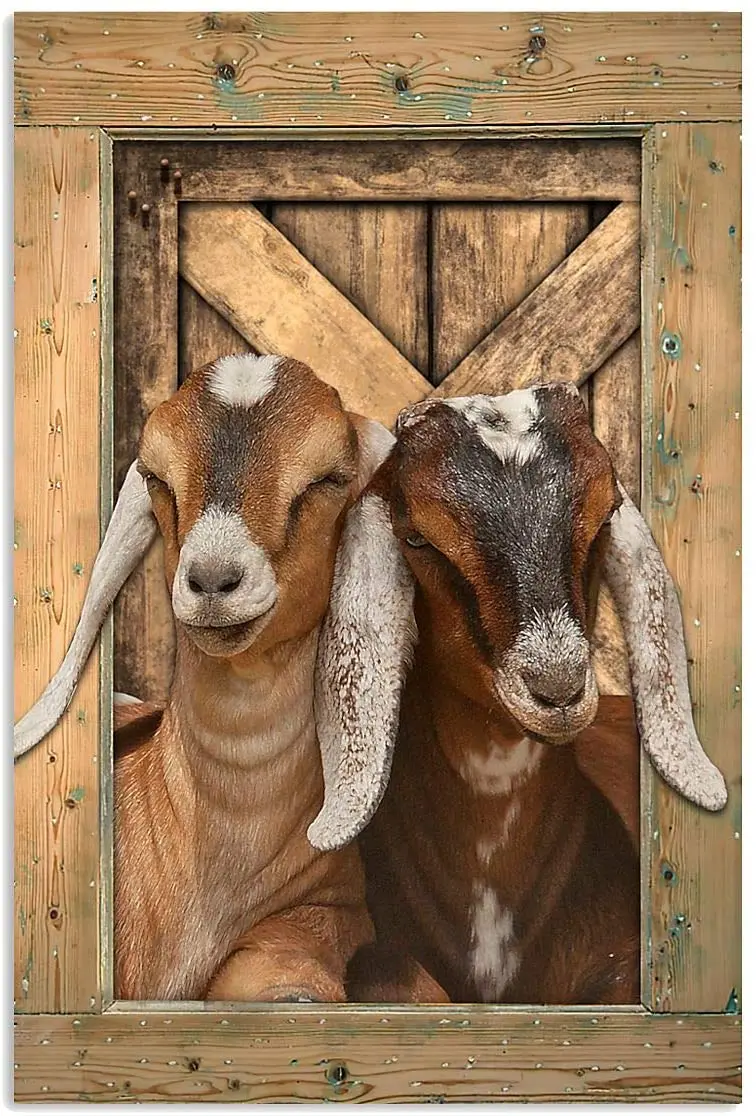 Eeypy Metal Signs Funny Goat Gate Open Farm,Wall Decor,Home Decor Print Art, Vintage sign