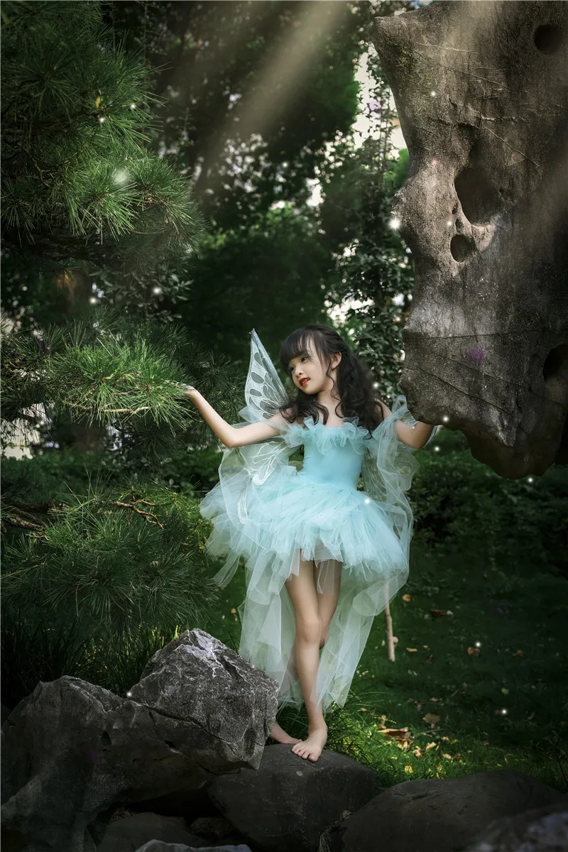 children's-loween-fairy-costume-dr-with-wings-photoaphy-fairy-princ-skirt-girls'-clothing-fairy-dr