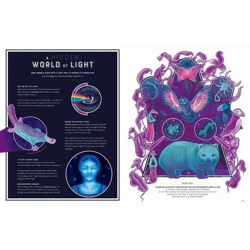 توهج عجائب البرية من التلألؤ البيولوجي جنيفر ن آر سميث ثيمز آند هدسون المحدودة 9780500653203 كتاب