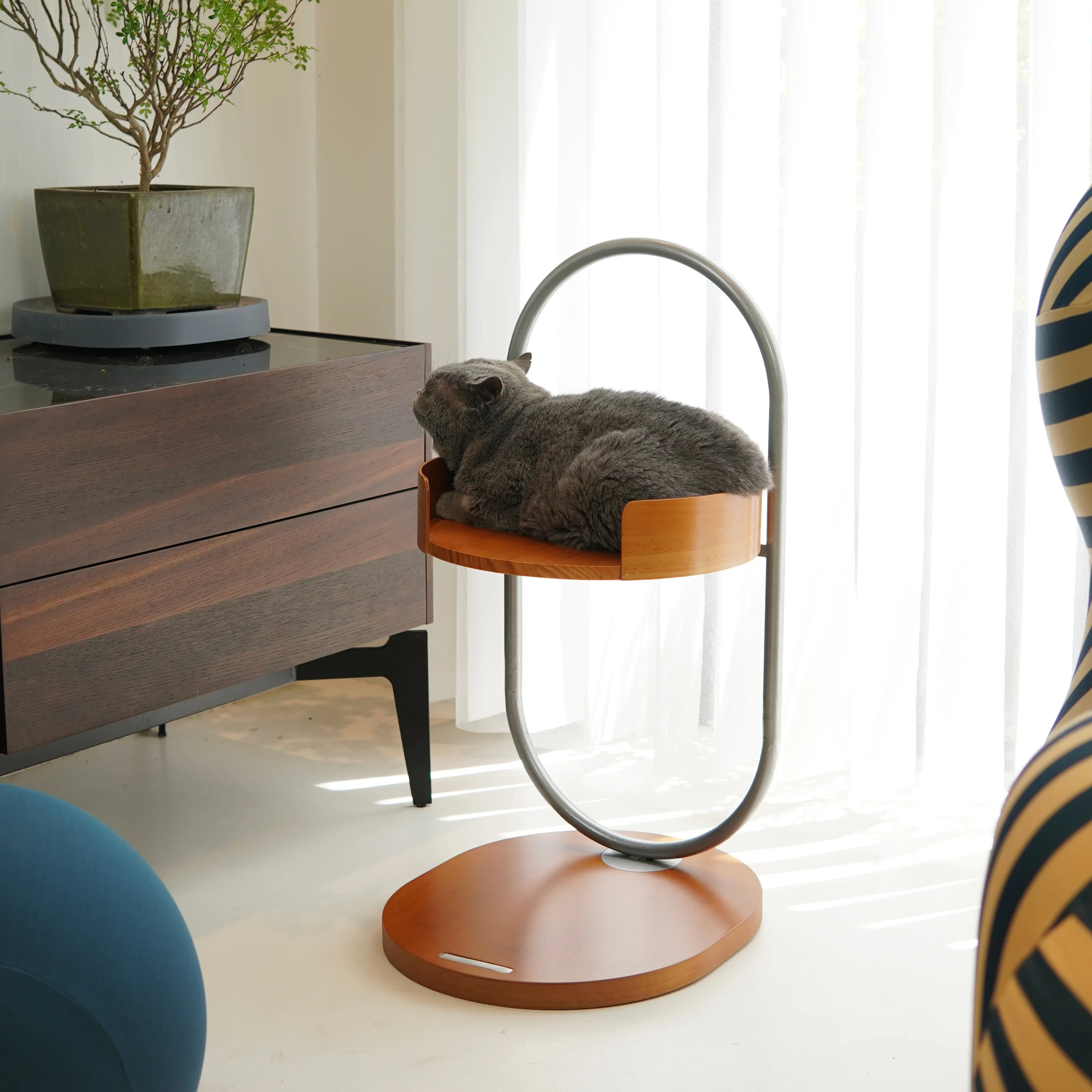 Solid wood edge cat nest space