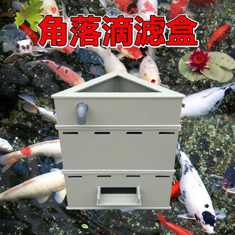 Koi Fish Pond Drip …