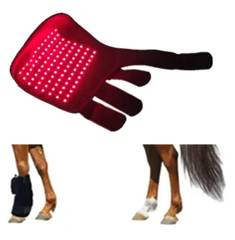 Durable Horse Boots New Red Light Therapy Horse Tendon Therapy Production Horse Leg 660nm 850nm Equines