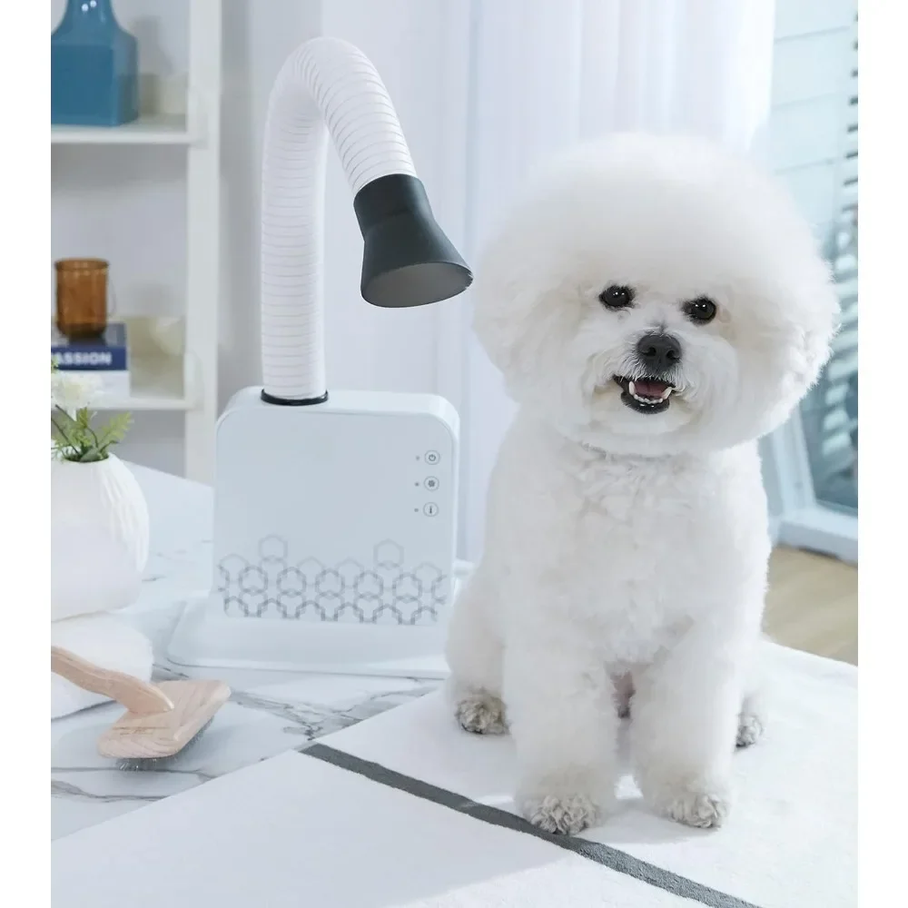 Super Quiet Hands-Free Pet Dryer: Low-Noise Dog Dryer for Grooming, Reduces Labor & Stress, Ideal for Small Dogs and Cats