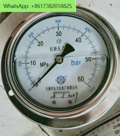 YK100-III Wuxi Liyou pressure gauge axial band edge anti-seismic pressure gauge 0-60mpa