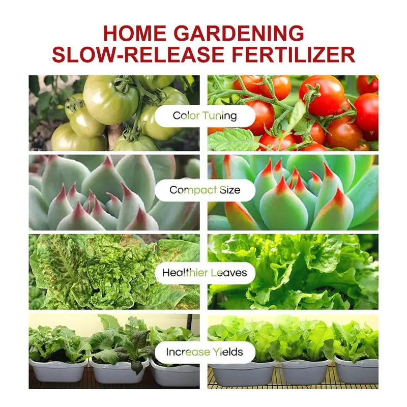 Fruits and Vegetables Plant Food Tablets Slow Release Nutrient Universal Solution for Potted Plant Growth and Gardening Applica
