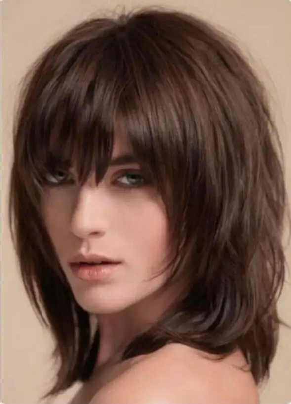 Brown Shag Hairstyle with Full Fringe Middle Length Synthetic Hair Women Wigs