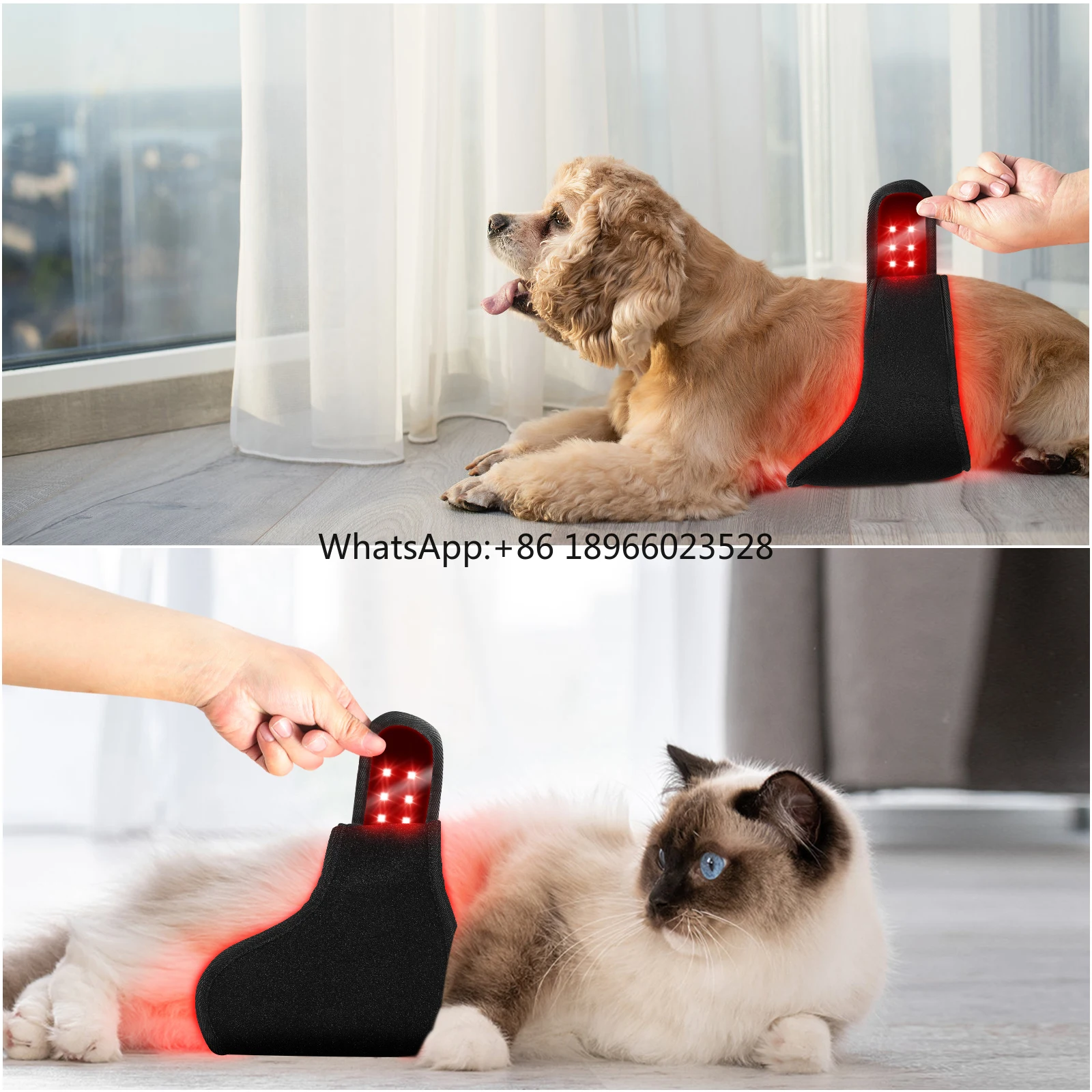 660nm 850nm Infrared Red Light Therapy PET Wrap Belt Veterinary Instrument