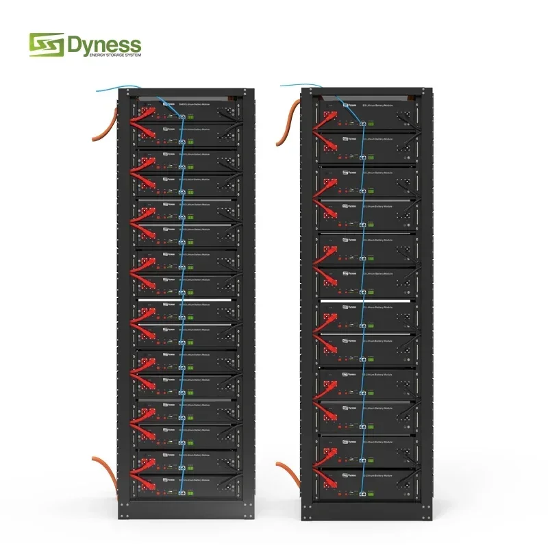 Batteria al litio Dyness 48V 500Ah 24kWh a ciclo profondo Serie rack portatile LiFePO4 per sistemi solari e commerciali