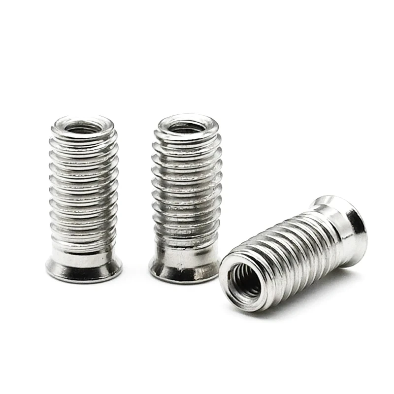 304 SS Hex Socket Threaded Insert Nuts M3 M4 M5 M6 M8 M10 Embedded Inset Nut For Wood Furniture Assembly