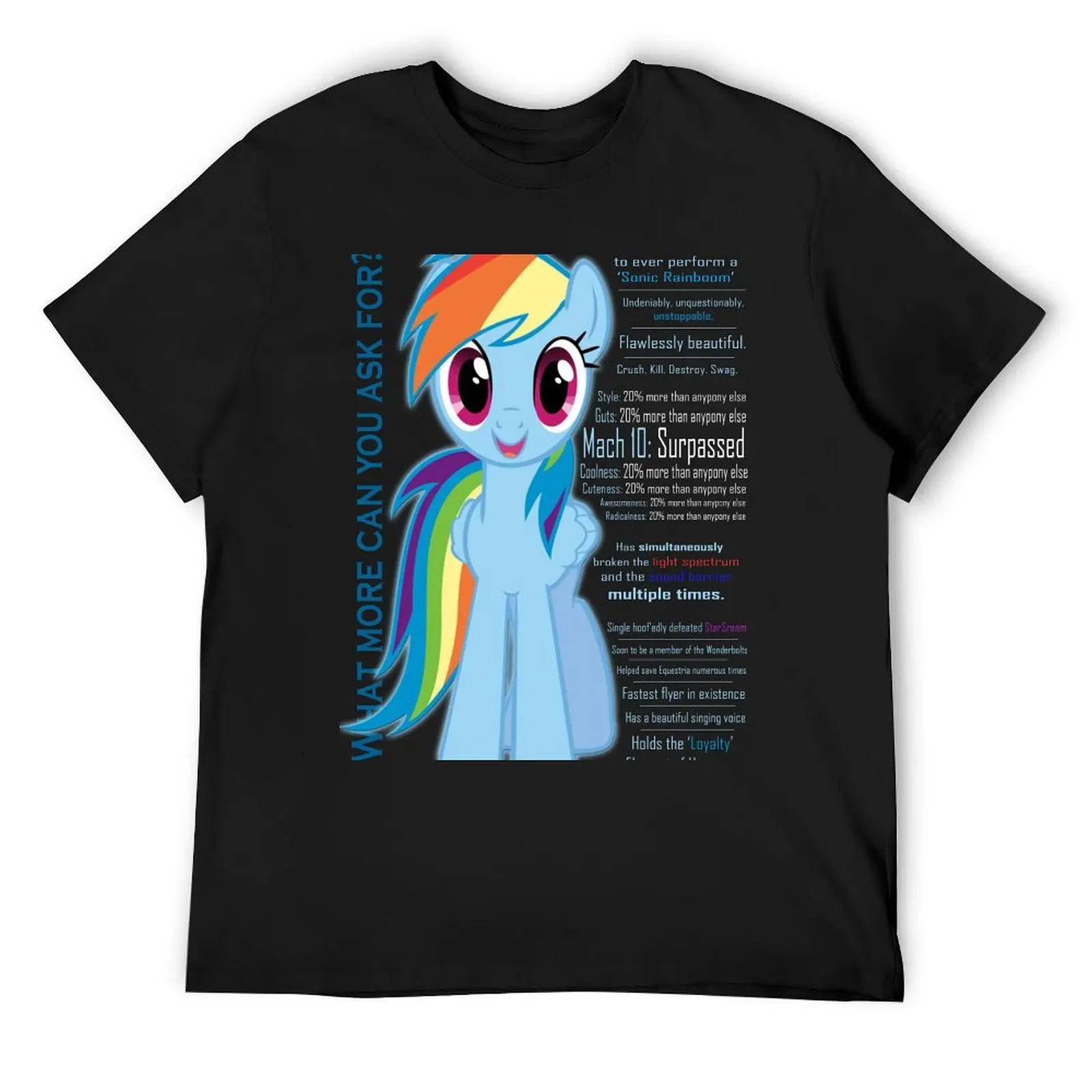 

What else could anyone possibly ask for (Rainbow Dash) T-Shirt vintage anime shirt oversized t shirt t shirts men