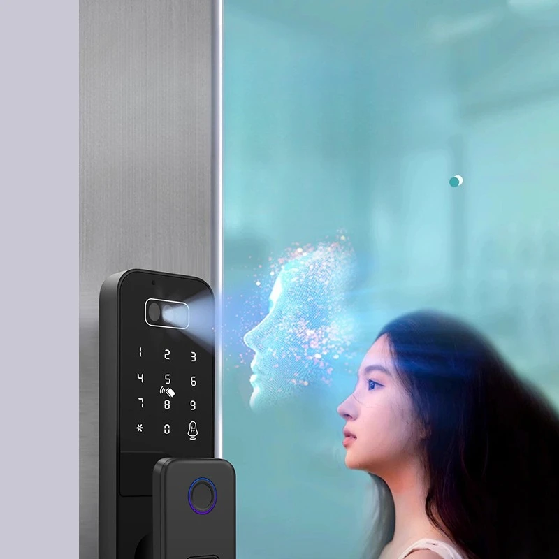 EGFirtor Vintage Iron Password Door Electronic Lock Facial Recognition Bull Head Apartment Gate Waterproof Fingerprint Door Lock