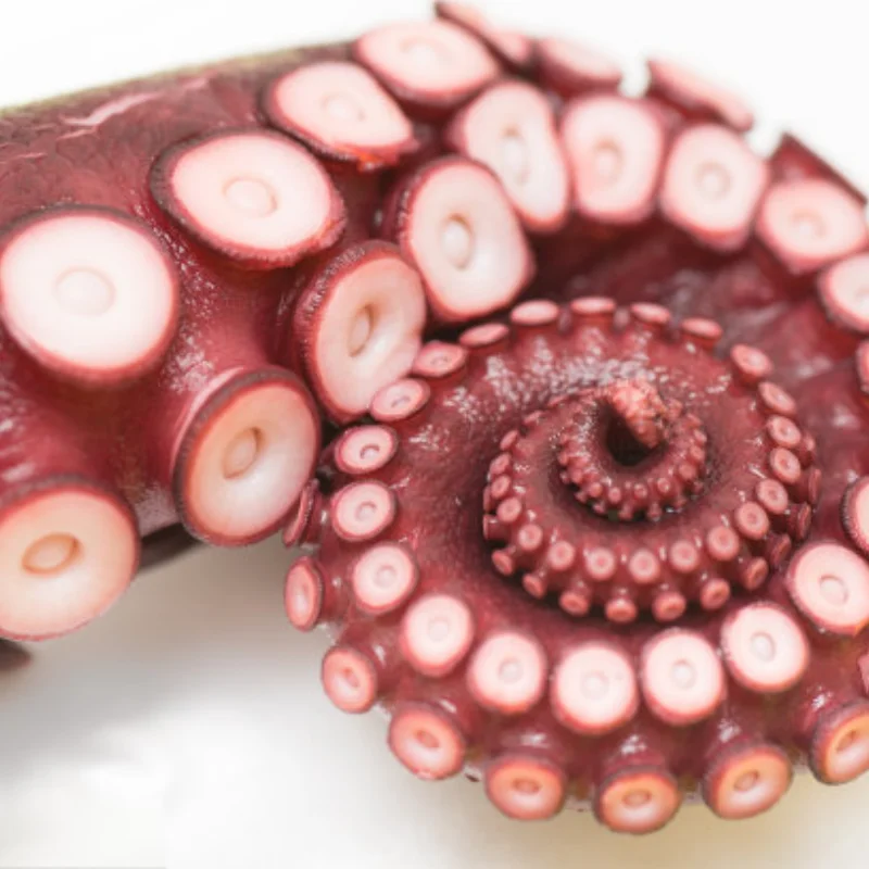 

WPL C64 C64-1 Metal Chassis Link Rod Pull Rod Mount Side Pedal Shock Mount Set 1/16 RC Car Upgrade Parts Accessories