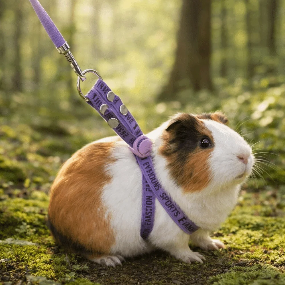 Practical Adjustable Rabbit Towing Rope Soft Comfortable Guinea Pig Harness Escape Proof Pet Traction Rope Pet Running