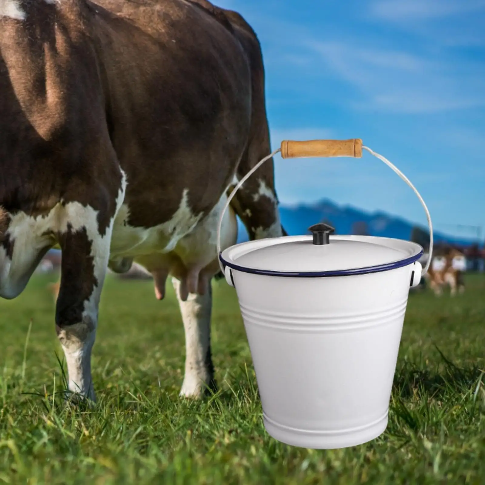 

Эмалированное ведро Ведро для льда с крышкой и ручкой Контейнер для риса в деревенском стиле Контейнер для жидкости Банка для хранения сувениров на вечеринку