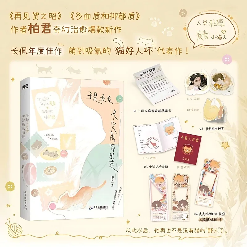 So Mai Mai Decided To Run Away From Home Novel Book A Healing/coming-of-age Novel Chinese Version By Bai Jun