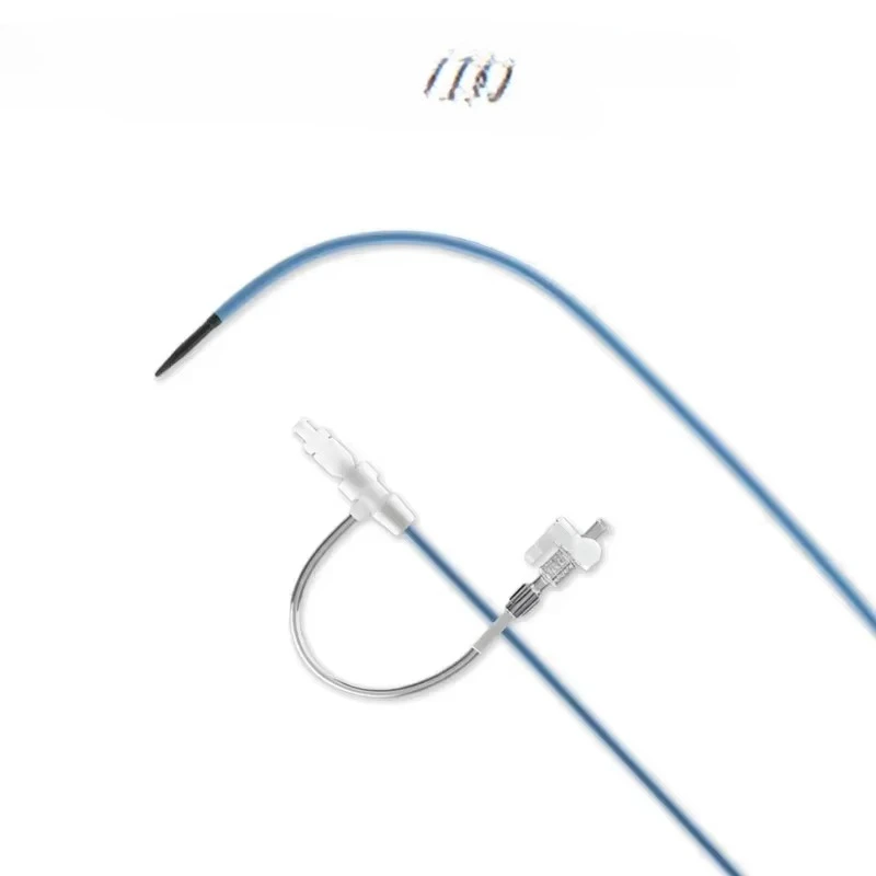 for Introducer Sheath High Performance for Controlled Access in Angiography and PTCA Procedures