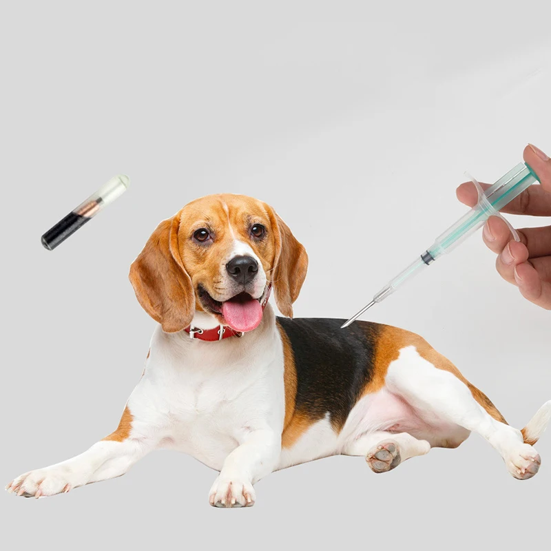 

1.25*7mm/1.4*8mm/2.12*12mm Pet Animal Microchip Syringe Horse Dog Microchip Chip Animal Chip Syringe For Dogs Cats Fish