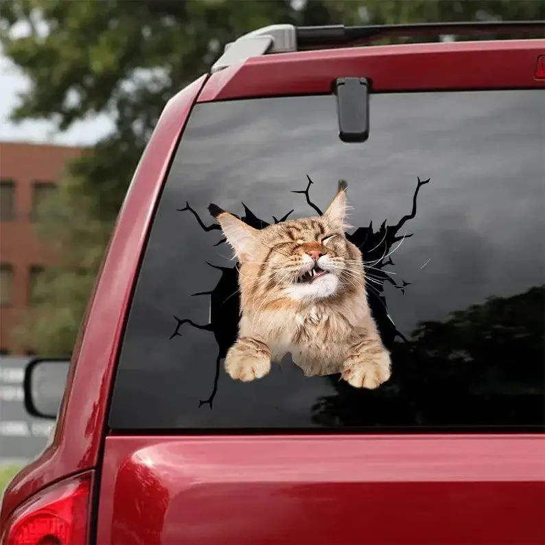 Maine Coon Cat Decal - fits cars,Windows,Laptops and any smooth surface, Maine Coon Cat Stickers, Pet Stickers, Custom Cat Stick