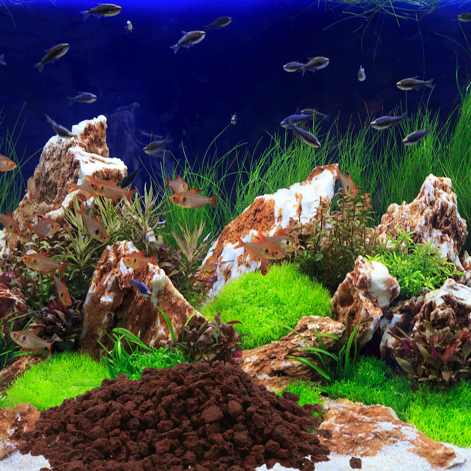 

500G High Quality Volcanic Rocks Stone for Fish Tank Filter Decoration Cultivation Support Freshwater Marine Compatible