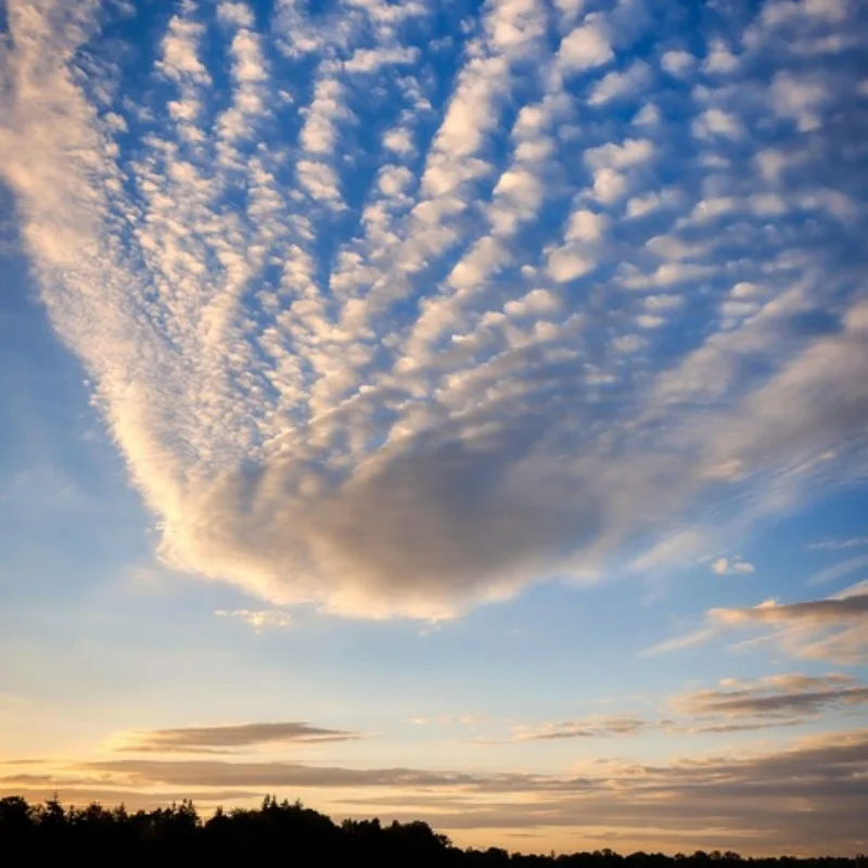 

Стальной корпус дифференциала коробки передач Ldler Set 47T 29T ARA311095 для ARRMA 1/10 GORGON Monster Truck 4x2 RC Car Upgrade Parts