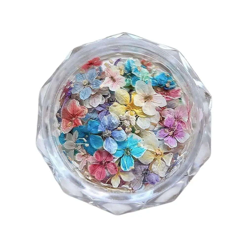 Getrocknete Blumenmaterialien für Nägel, romantische Monet-Garten-Farbpalette, lebendige Accessoires, Wildblumen-Nagelkunst-Dekorationen, Werkzeuge