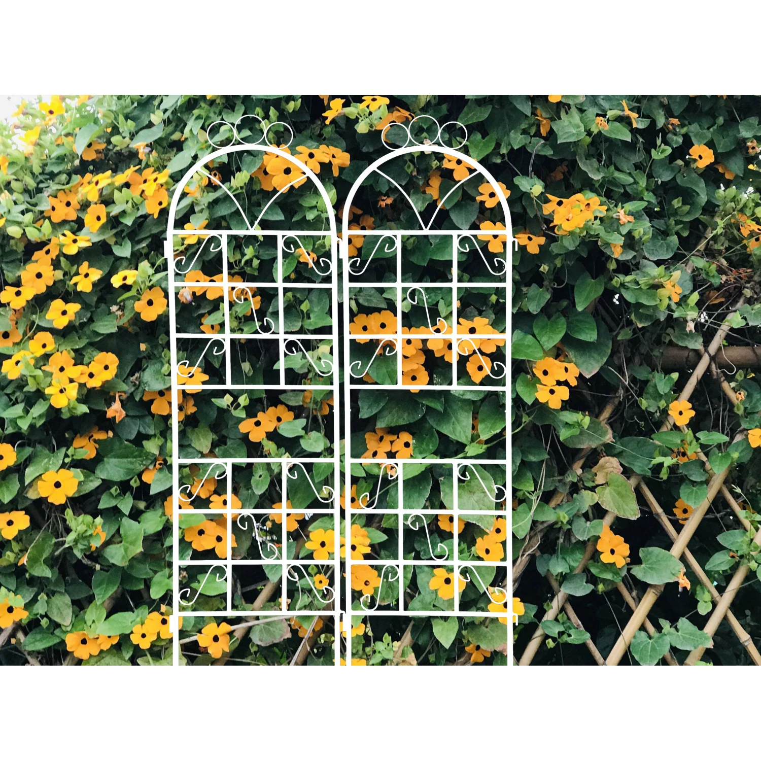 1Set (2pcs) Metal Garden Trellis for Climbing Plants Outdoor Rustproof Plant Support -ceramic whiteware