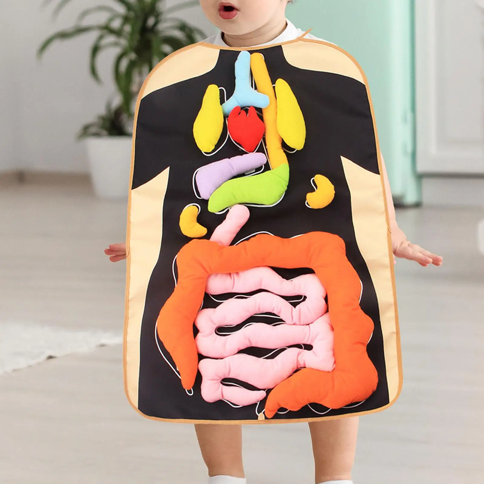 3D Organ Apron Early Childhood Pretend Play Montessori Children Learning Apron for Home Body Parts School Kindergarten Preschool