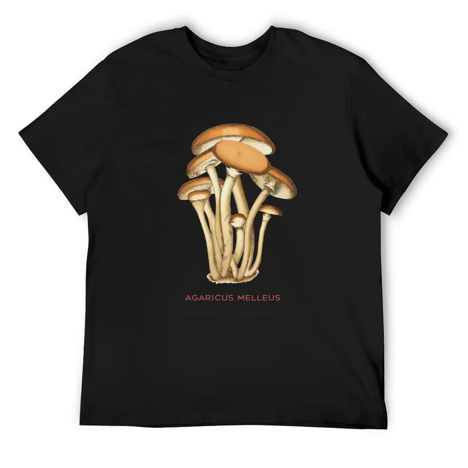 

Honey fungus or Agaricus melleus T-Shirt anime t shirts essential t shirt Aesthetic clothing T-shirts for men cotton