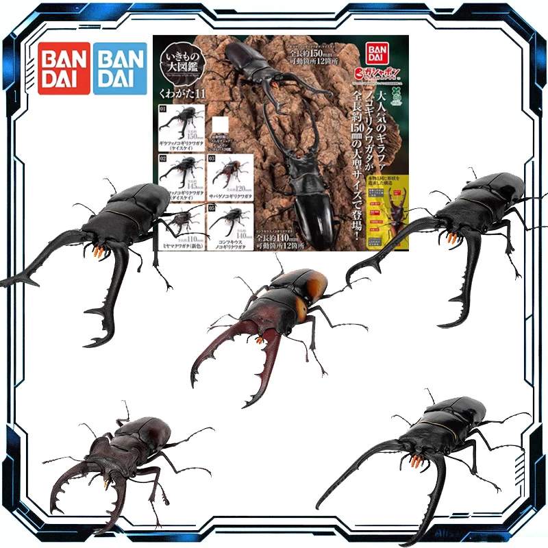 

Оригинальные фигурки Bandai Gashapon: Биологический атлас - Оленьи жуки, 11 моделей, коллекционные игрушки для мальчиков и девочек, подарок для детей