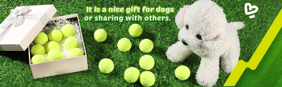 Tennisbälle für Hunde, 2-Zoll-Größe, kompatibel mit den meisten automatischen Ballwerfer, Ideen für kleine Hunde (12 Bälle nur) – Detail 5
