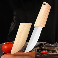 Fruit Knife Chef Slicing Steak Fish Knife With Plastic Handle Stainless Steel Blade Sharp Kitchen Knives Boning Barbecue Knives