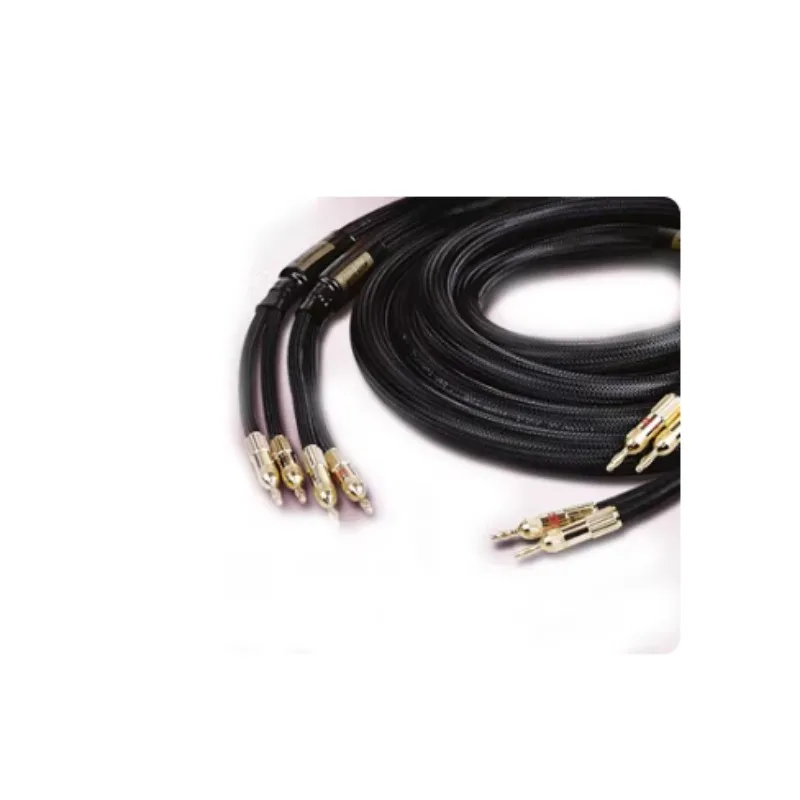 2026 Hot Sale NEW A Pair Choseal 6N OCC Audiophile HIFI Speaker Cable 24K Gold-plated Banana Plug Level Speaker Cable