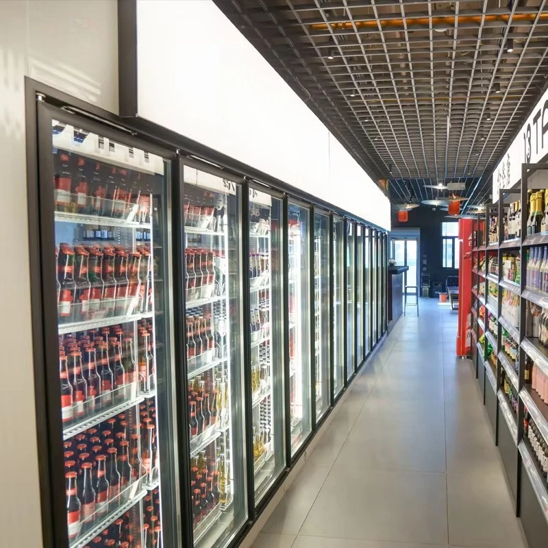 Commercial Walk in Cooler Glass Door Display Beer Cooling Food Storage Fast Cooling Low Noise for Restaurant Custom
