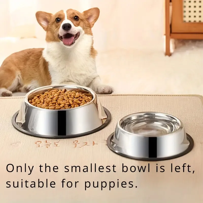 Ciotola per cani antiscivolo in acciaio inossidabile, bacino per alimenti per gatti durevole e resistente alle cadute con base in gomma per animali domestici