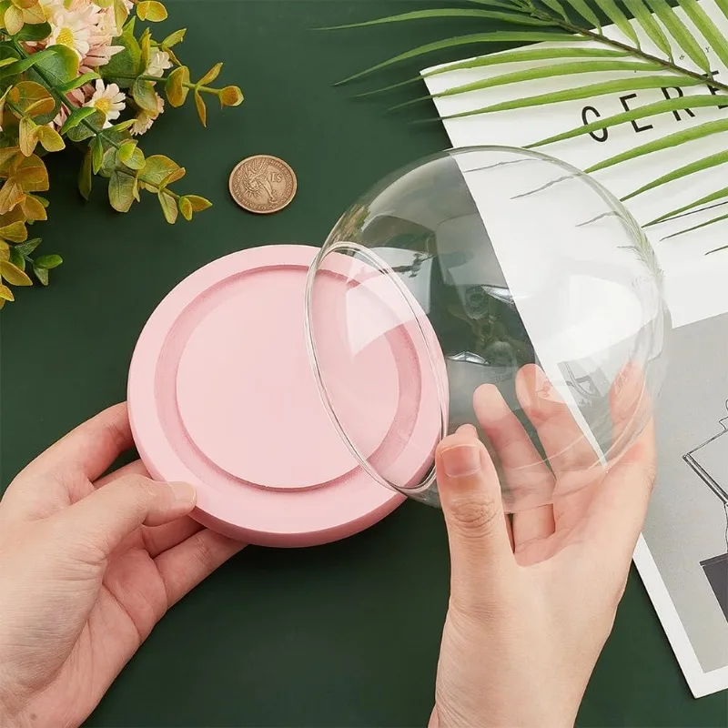1 Set Glass Dome Glass Display Showcase Decorative Display Dome Miniature Case Snowglobe for Fairy Lights Plants Flower