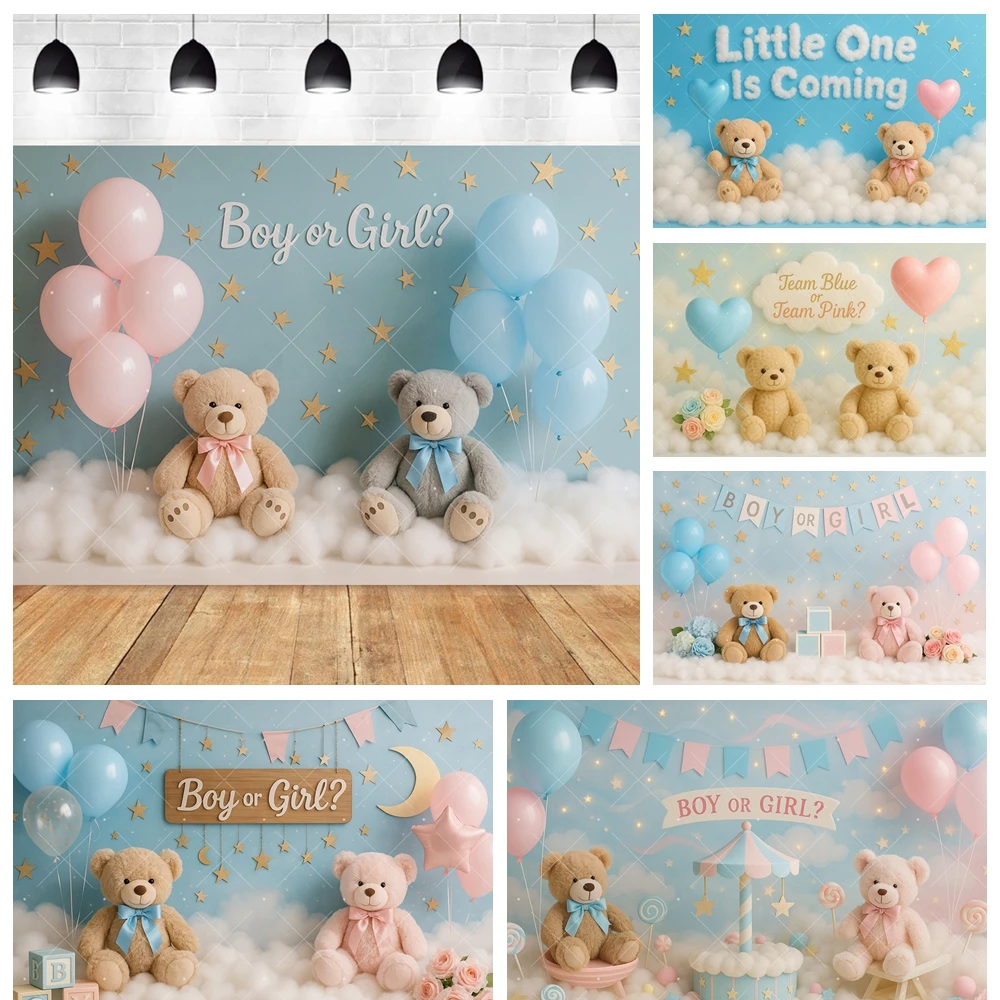 Boy Or Girl Gender Reveal Pink Blue Teddy Bear Background Custom Cloud Balloon Baby Shower Party Banner Photography Backdrop Pro