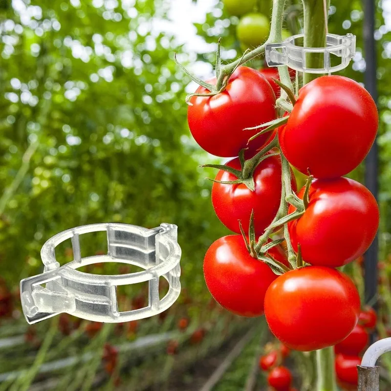 Reusable Plant Support Clips Tomato Vine Garden Clip for Climb Plants Grape and Vine Vegetables Plastic Clips For Securing Plant