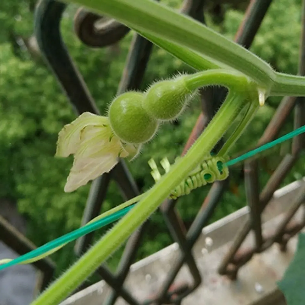 20/50/100m Garden Cable Ties Plant Climbing Lines Plant Twist Ties Plant Bundle Iron Wire Flower Plant Support Strap Tie