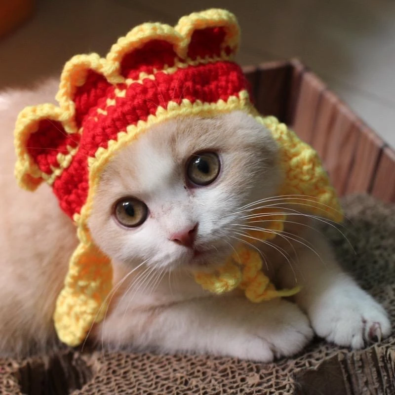 Winter Warm Costume Accessories for Cats Cosplay Funny Animal Flower Knitting Pet Dog Cap Adjustable Head Wear Pet Products