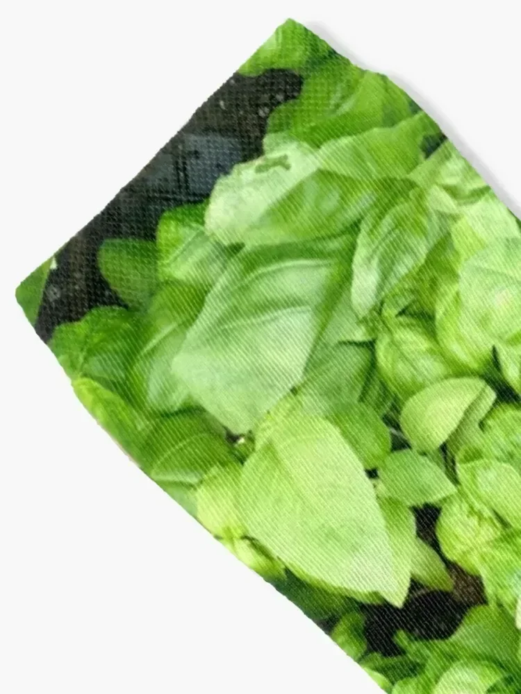 So much Basil... So little Thyme... Socks Children's japanese fashion Heating sock custom Socks Women's Men's