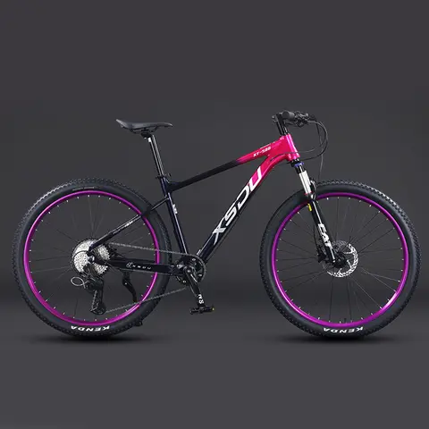 China Factory Adult Mountain Bicycle Cheap Good Quality 22/24/26/27 Inch Alloy Bike Disc Brake Ordinary 21/24/27 Speed Cycle