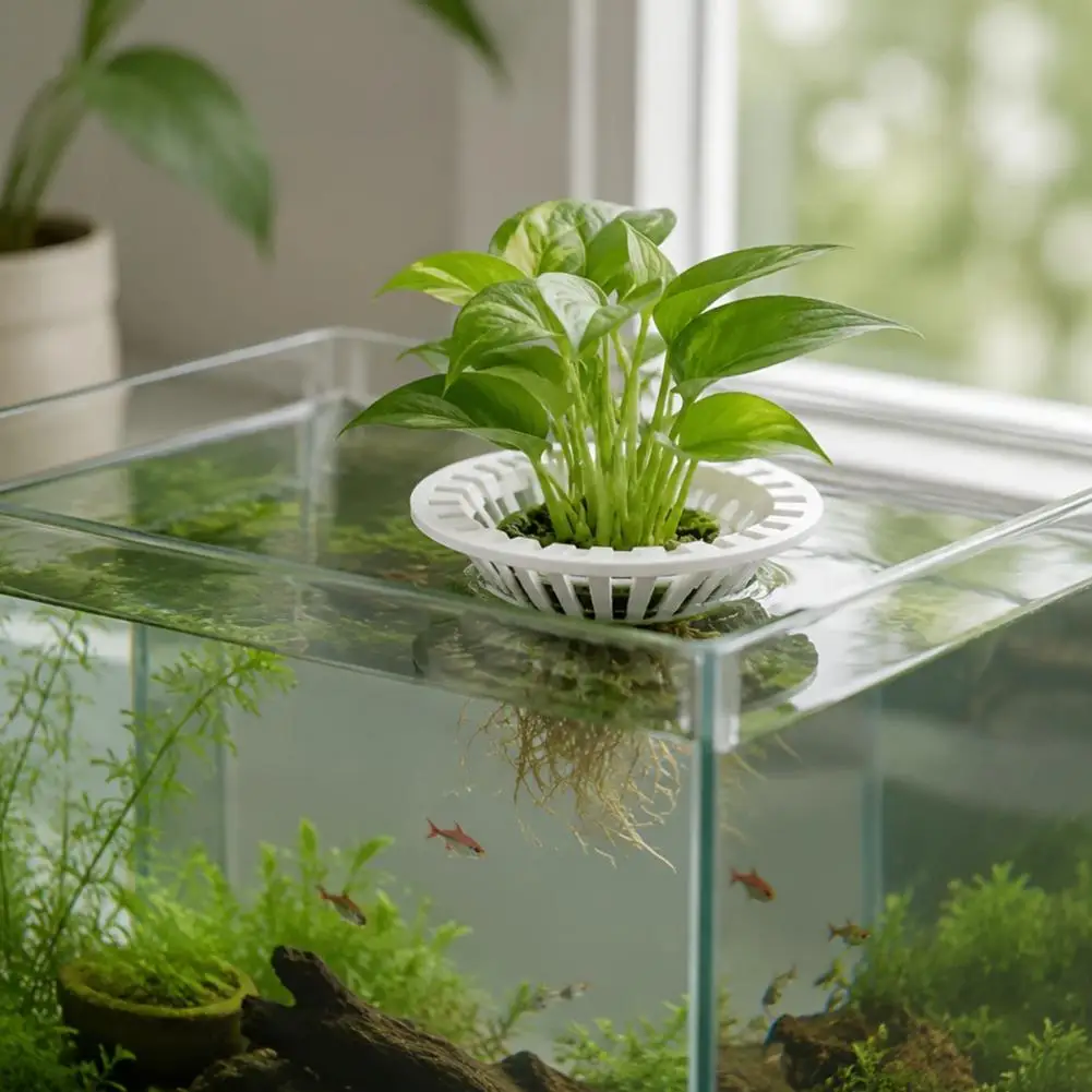 Aquarium Hydroponic Planter 3d Printed Floating Aquarium Plant Holder Hydroponic Planter Basket for Fish Tanks Aquascape - view 6