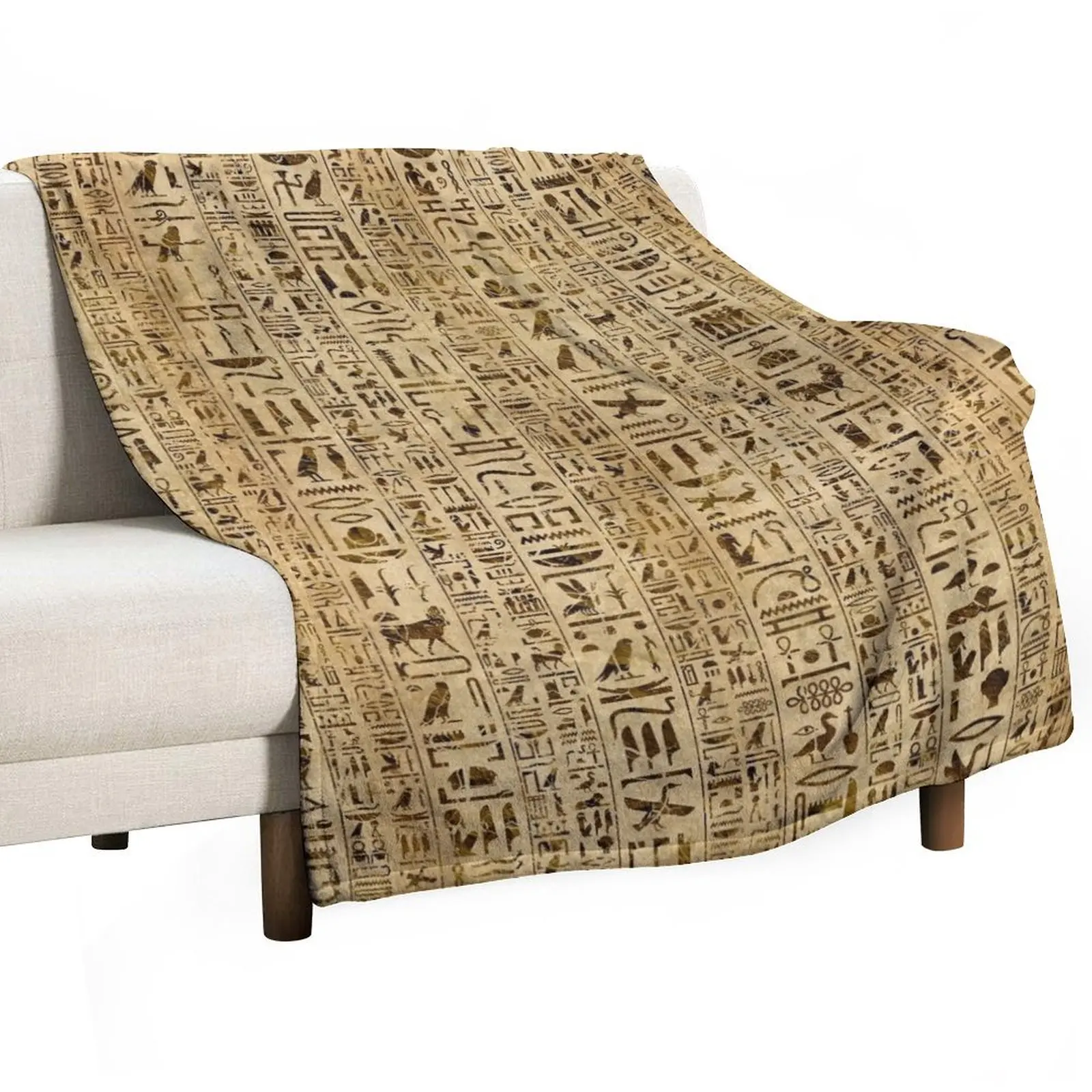 Egyptian hieroglyphs on papyrus Throw Blanket Winter beds Beach Beautifuls Bed covers Blankets