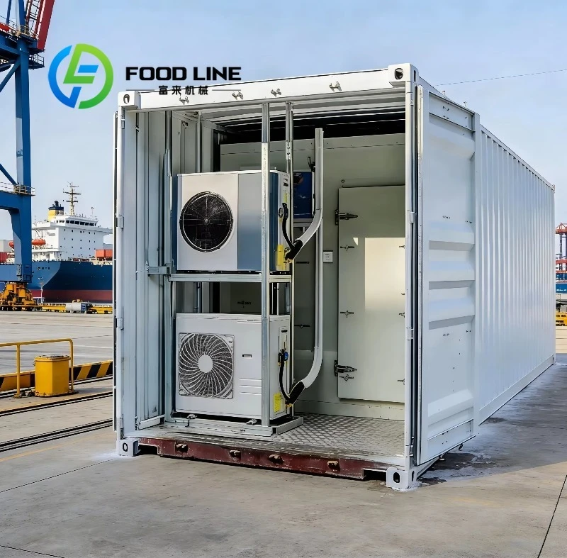 Factory Direct Container Freezer Small Cold Storage Room Deep Freezer Container for Meat and Seafood Frozen Storage Low price