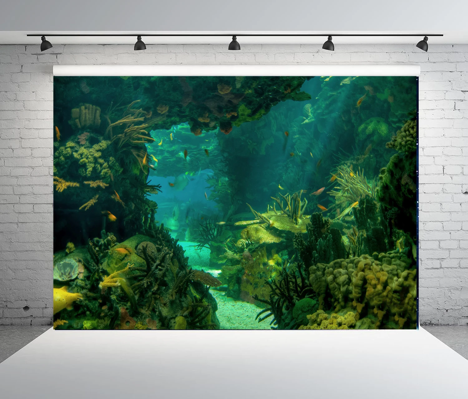Aquarium Marine World - Under Sea Seabed World Photography Backdrop