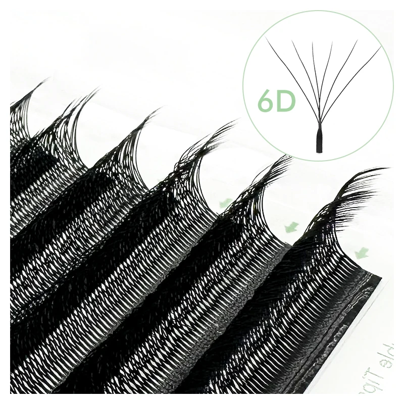 W-shaped 6D
