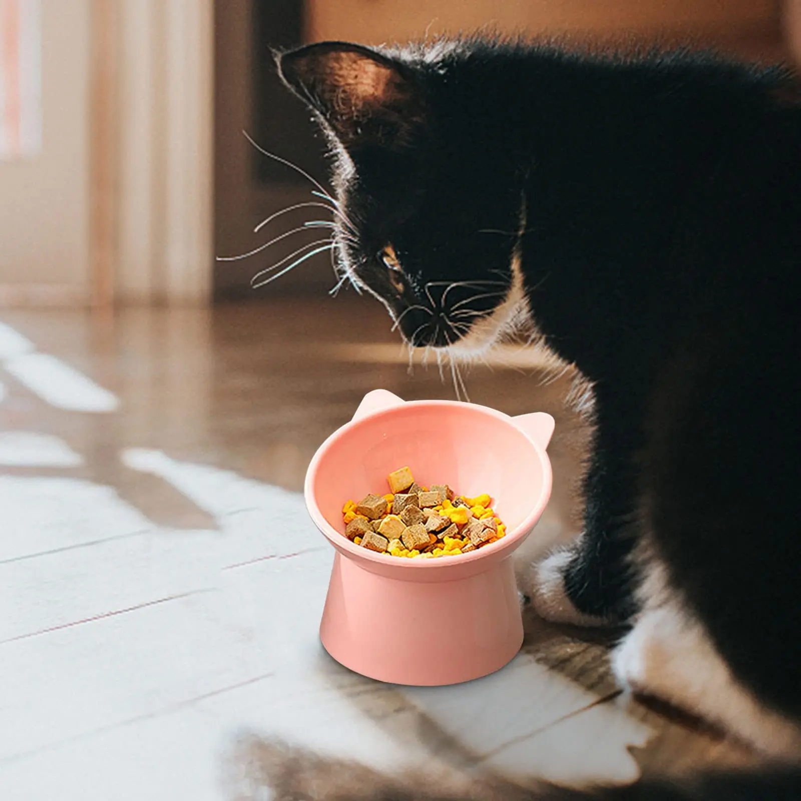 أوعية طعام القطط المرتفعة 15 درجة أوعية الحيوانات الأليفة المرتفعة المضادة للقيء مائل أثار ويسكي ودية طبق القط المرتفع البلاستيك المائل