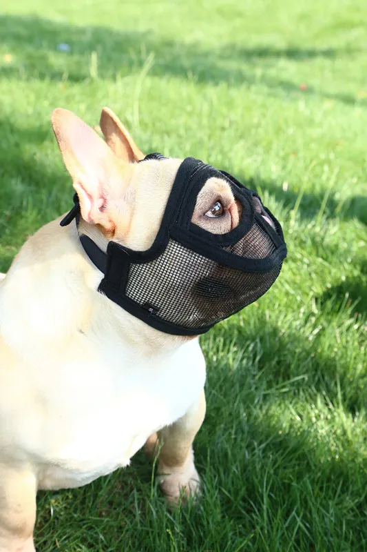 Short Snout Dog Muzzles- Adjustable Breathable Mesh Bulldog Muzzle for Biting Chewing Barking Training