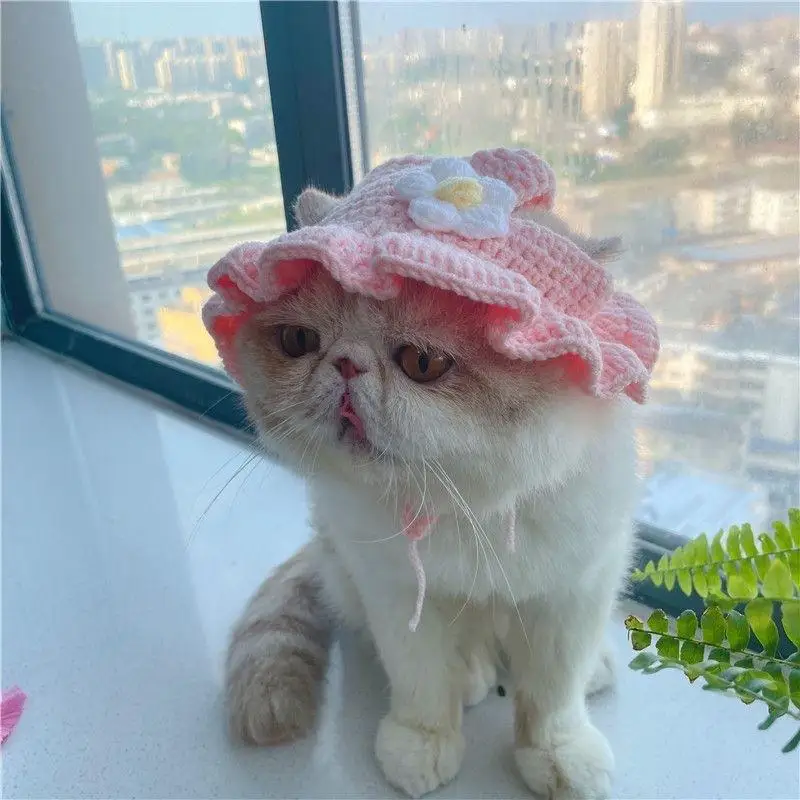 

Cat Hats Funny Pets Party Cosplay Headwear Delicate Hemming Pendant Decor Elasticity Knitted Cute Hat Pet Accessories