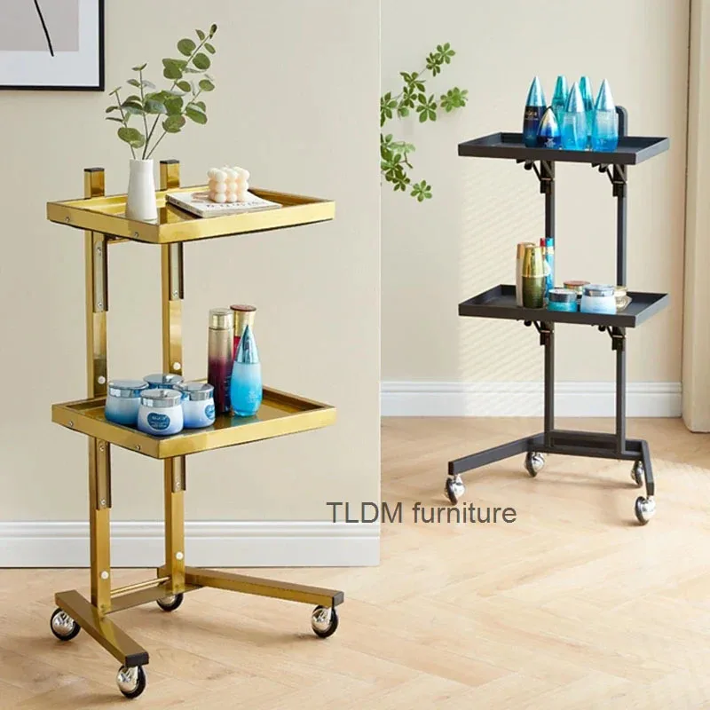 

Light Luxury Stainless Steel Salon Trolleys Simple Salon Furniture Beauty Salon Folding Tool Cart Japanese Home Rack with Wheels